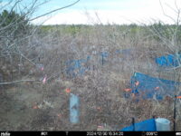 Dec 30 2024 15:34:20, #01