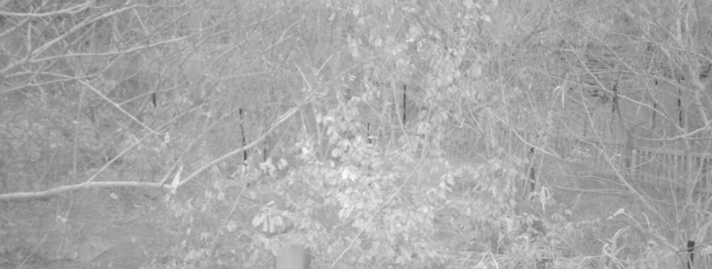 Dec 31 2024  6:34:20, #01