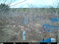 Dec 31 2024 12:34:21, #01