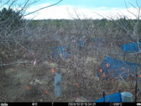 Dec 31 2024 15:34:21, #01