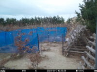 Dec 17 2024 15:25:29, #01