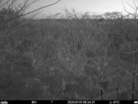 Jan 1 2025  6:34:21, #01