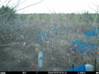 Jan 1 2025 15:34:21, #01