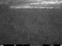 Jan 2 2025  6:34:20, #01