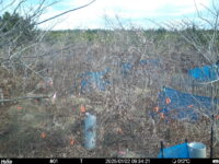 Jan 2 2025  9:34:21, #01