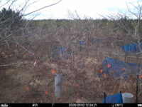 Jan 2 2025 12:34:21, #01