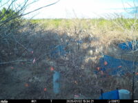 Jan 2 2025 15:34:20, #01