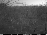 Jan 3 2025  6:34:21, #01