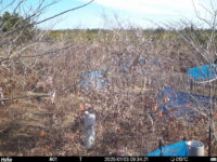 Jan 3 2025  9:34:20, #01