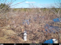 Jan 3 2025 12:34:21, #01