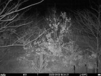 Jan 3 2025 18:34:21, #01
