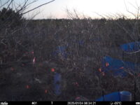 Jan 4 2025  6:34:21, #01