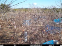 Jan 4 2025  9:34:21, #01