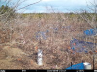 Jan 4 2025 12:34:21, #01