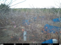 Jan 4 2025 15:34:21, #01