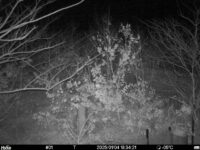 Jan 4 2025 18:34:21, #01