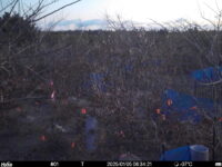 Jan 5 2025  6:34:21, #01