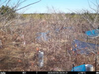Jan 5 2025  9:34:21, #01