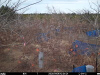 Jan 5 2025 12:34:21, #01