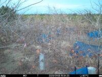 Jan 5 2025 15:34:20, #01
