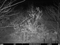 Jan 5 2025 18:34:20, #01