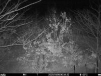 Jan 6 2025  0:34:20, #01