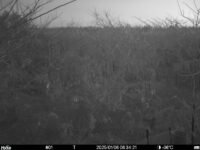 Jan 6 2025  6:34:21, #01