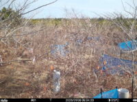 Jan 6 2025  9:34:20, #01