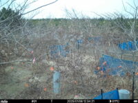 Jan 6 2025 12:34:21, #01