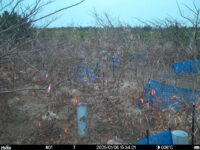 Jan 6 2025 15:34:21, #01