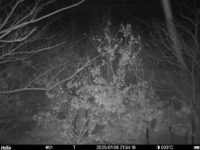 Jan 6 2025 21:34:19, #01