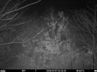 Jan 7 2025  3:34:20, #01