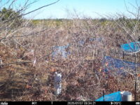 Jan 7 2025  9:34:21, #01