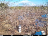 Jan 7 2025 12:34:21, #01