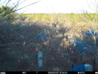Jan 7 2025 15:34:21, #01