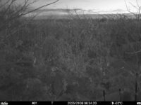 Jan 8 2025  6:34:20, #01