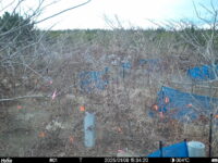 Jan 8 2025 15:34:20, #01