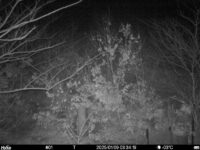 Jan 9 2025  3:34:19, #01