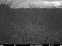 Jan 9 2025  6:34:21, #01