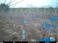 Jan 9 2025  9:34:20, #01
