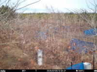 Jan 9 2025 12:34:21, #01