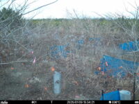 Jan 9 2025 15:34:21, #01