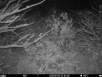 Jan 10 2025  0:34:20, #01