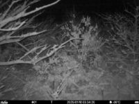 Jan 10 2025  3:34:20, #01
