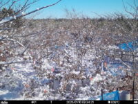Jan 10 2025  9:34:21, #01