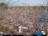 Jan 10 2025 12:34:20, #01