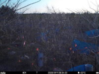 Jan 11 2025  6:34:20, #01
