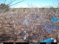 Jan 11 2025  9:34:21, #01