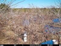 Jan 11 2025 12:34:21, #01
