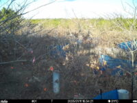 Jan 11 2025 15:34:20, #01